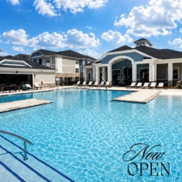 pool with lounge chairs